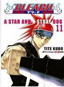 BLEACH N.11