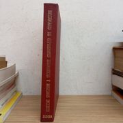 Diccionario de expresiones idiomáticas y modismos ingleses (in Spanish)