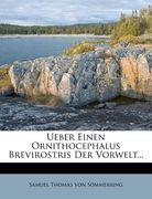 Ueber Einen Ornithocephalus Brevirostris Der Vorwelt... (en Alemán)