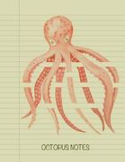 Octopus Notes (en Inglés)