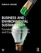 Business and Environmental Sustainability: Foundations, Challenges and Corporate Functions (en Inglés)