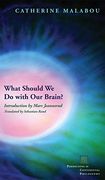 What Should we do With our Brain? (en Inglés)