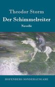 Der Schimmelreiter: Novelle (in German)