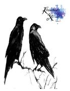 Kreative Xressions Volume1 (en Inglés)