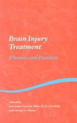 brain injury treatment: theories and practices (en Inglés)
