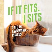 If It Fits, I Sits: Cats in Awkward Places (en Inglés)