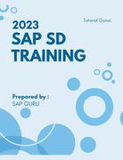 2023 sap sd Training (en Inglés)