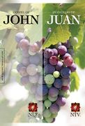 gospel of john-pr-nlt/ntv
