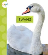 Swans (en Inglés)