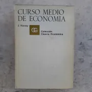 Curso medio de economia (in Spanish)