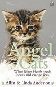 angel cats: when feline friends touch hearts and change lives (en Inglés)