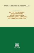 La tutela judicial efectiva como vehículo para la constitucionalización del derecho procesal