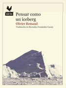 Pensar Como un Iceberg