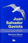 Juan Salvador Gaviota