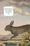 The Rabbit Between us (en Inglés)