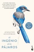 El ingenio de los pájaros