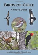 Birds of Chile: A Photo Guide (en Inglés)