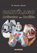 cartilago articular de la rodilla (in Spanish)