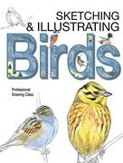 Sketching & Illustrating Birds: Professional Drawing Class (en Inglés)