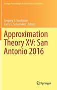 Approximation Theory XV: San Antonio 2016 (en Inglés)