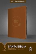 Santa Biblia Rvr60, Edición Zíper con Referencias, Letra gra