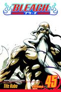 bleach, vol. 45