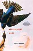never-ending birds,poems