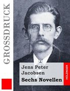 Sechs Novellen (Großdruck) (en Alemán)
