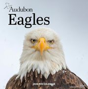 Audubon Eagles Mini Wall Calendar 2026 (en Inglés)