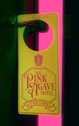 The Pink Agave Motel: & Other Stories (en Inglés)