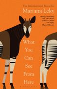 What you can see From Here: The International Bestseller Translated by Tess Lewis (en Inglés)