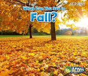 What Can You See in Fall? (en Inglés)