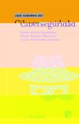 Ciberseguridad