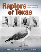 Raptors of Texas: A Natural History of Diurnal Birds of Prey (en Inglés)
