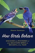 How Birds Behave: Discover the Mysteries of What Backyard Birds do 365 Days of the Year (en Inglés)