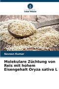 Molekulare Züchtung von Reis mit hohem Eisengehalt Oryza sativa L (in German)