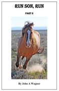 Run Son, Run Part 2 (en Inglés)