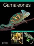Camaleones (in Spanish)