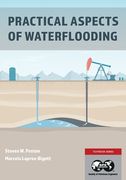Practical Aspects of Waterflooding (en Inglés)