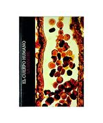 El Cuerpo Humano - la Sangre