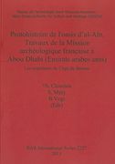 protohistoire de l`oasis dal-ain, travaux de la mission archeologique francaise a abou dhabi (emirats arabes unis)