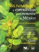 Saltamontes y Esperanzas: Del Noreste de Mexico