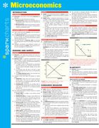 Microeconomics Sparkcharts (Volume 43) (en Inglés)