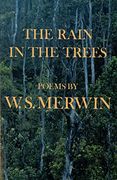 Rain in the Trees (en Inglés)