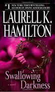 Swallowing Darkness (Merry Gentry Novel) 