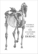 The Anatomy of the Horse (en Inglés)