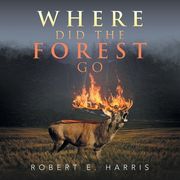 Where Did the Forest Go (en Inglés)