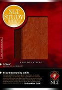 Study Bible-NLT-Personal Size - Tyndale House Publishers - Tyndale House Publishers