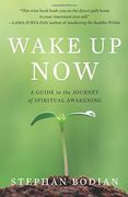 wake up now,a guide to the journey of spiritual awakening (en Inglés)