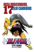 Bleach 17